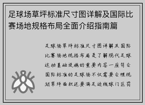 足球场草坪标准尺寸图详解及国际比赛场地规格布局全面介绍指南篇